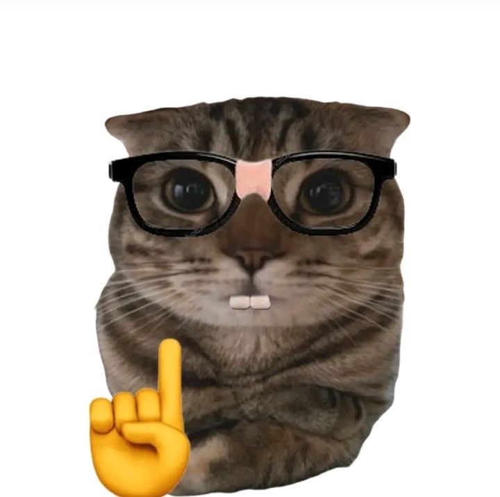 erm what the sigma sound effect