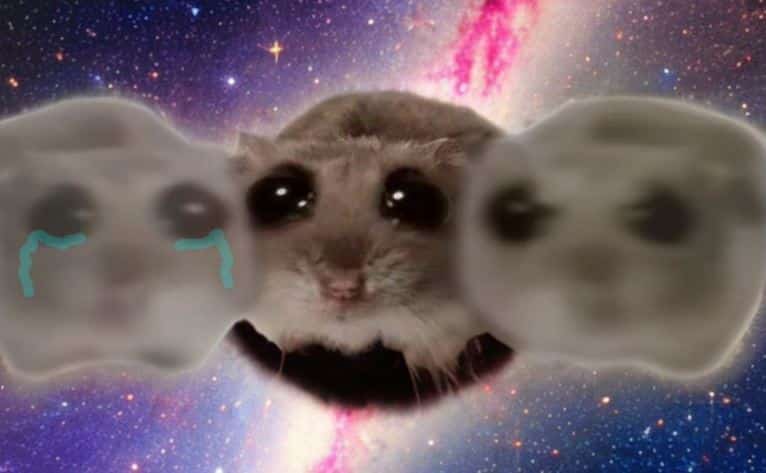 Sad Hamster Song: Funniest Meme Versions