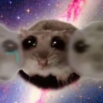 Sad Hamster Song: 10 Funniest Meme Versions