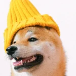 Free Dog Whistle Sounds You Can Download Today