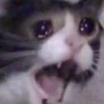 The Ultimate List of Scream Meme Sounds for Your Videos